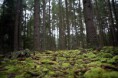 /album/photo-gallery-bioctic-factors/ecosystem-1-jpg/